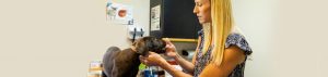 Appointments at Old Dominion Animal Hospital