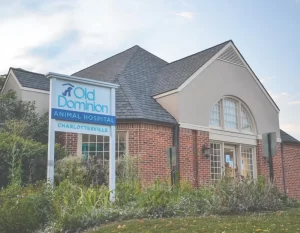 Old Dominion Animal Hospital in Charlottesville
