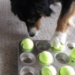 Playing with Your Food