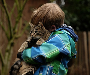 Handling your cat
