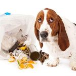 Back to Work Worries