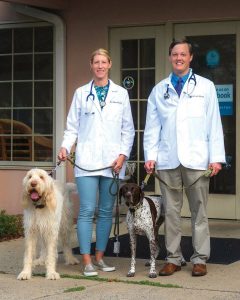Our Family Veterinary Clinic