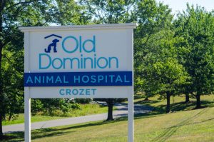 Crozet Veterinarian Old Dominion Animal Hospital