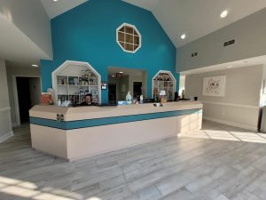 Renovations at Old Dominion Animal Hospital in Charlottesville