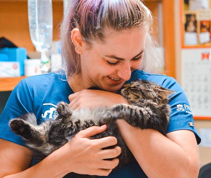 Veterinary Referral Rewards
