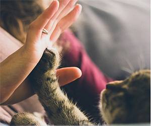 communicating with your cat