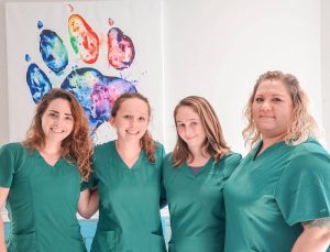 Employment Opportunities at Old Dominion Animal Hospital