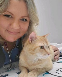 General Veterinary Services at Old Dominion Animal Hospital