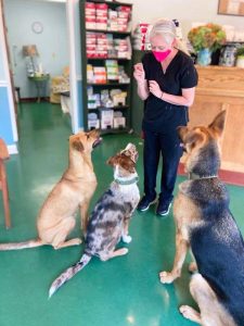 Animal Behavior at Old Dominion Animal Hospital