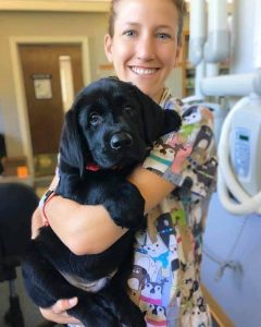Pet Vaccination at Old Dominion Animal Hospital