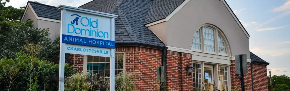 Old Dominion Animal Hospital Charlottesville