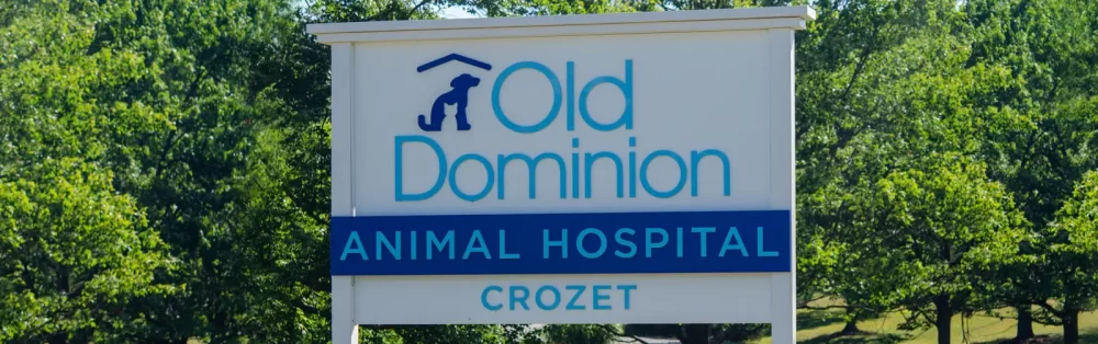 Old Dominion Animal Hospital Crozet Veterinarian Office