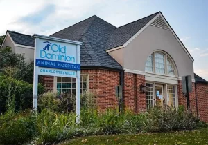 Old Dominion Animal Hospital Charlottesville