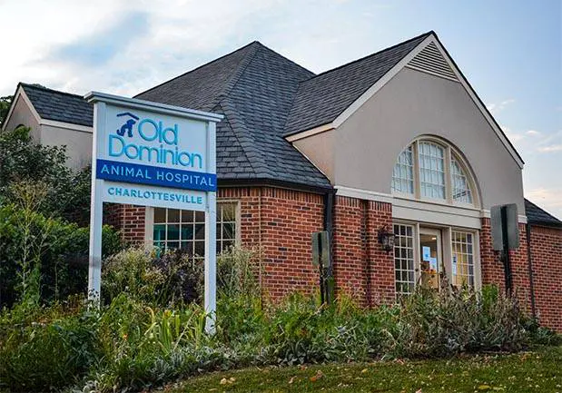 Old Dominion Animal Hospital Charlottesville
