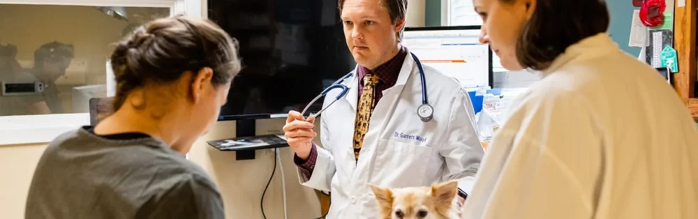 Veterinarian in Charlottesville and Crozet