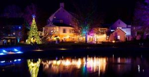 Winter Wander with the Charlottesville Albemarle SPCA