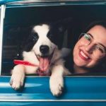 Travels with Fido