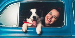 Travels with Fido