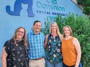 Old Dominion Animal Hospital Crozet Veterinarians