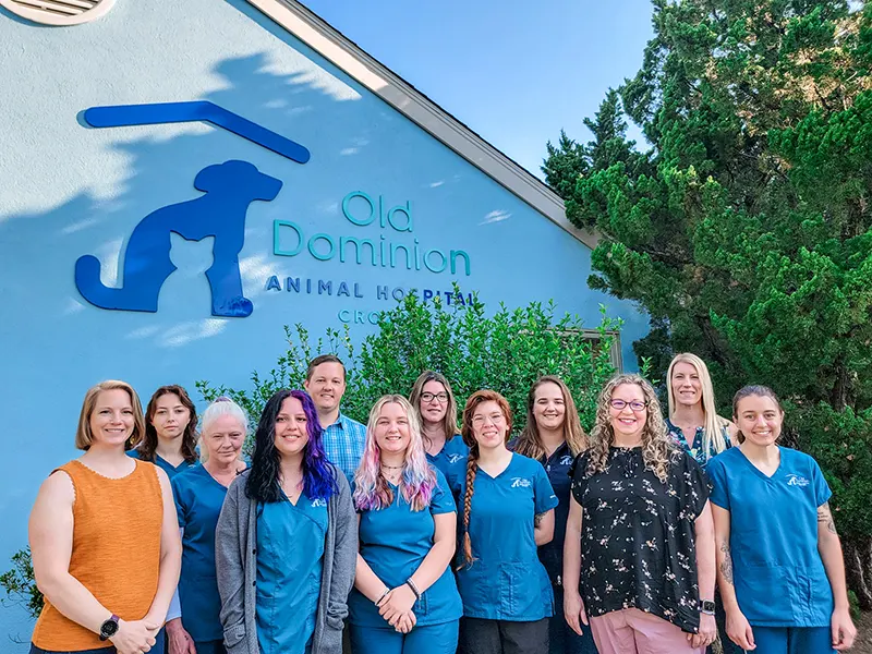 Old Dominion Animal Hospital Crozet Veterinarians