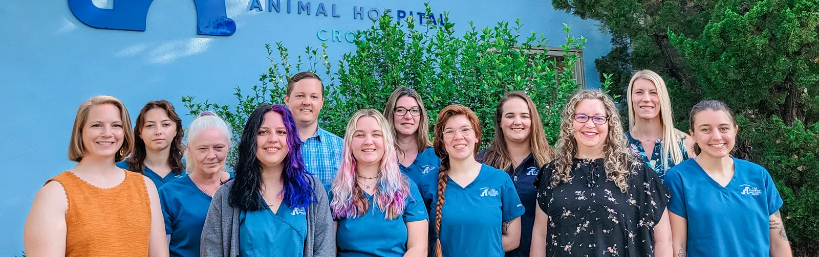 Old Dominion Animal Hospital Charlottesville Veterinary Staff