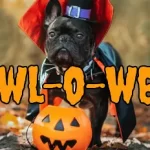 Howl-O-Ween