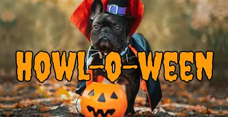 Howl-O-Ween