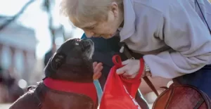 Seniors for Seniors Pet Adoptions Program at the CASPCA