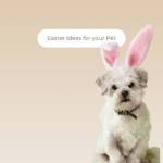 Fun and festive ways to celebrate Easter with your pets!