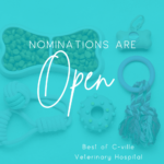 Nominations are open for Best of C-ville