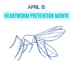 Heartworm Disease Prevention Month