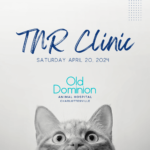 Old Dominion Animal Hospital hosts TNR Clinic with Companion Animal Fund and CAT Action Team
