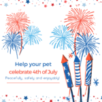 Firework safety and precautions for your pet