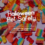 Helping your pet enjoy Halloween safely