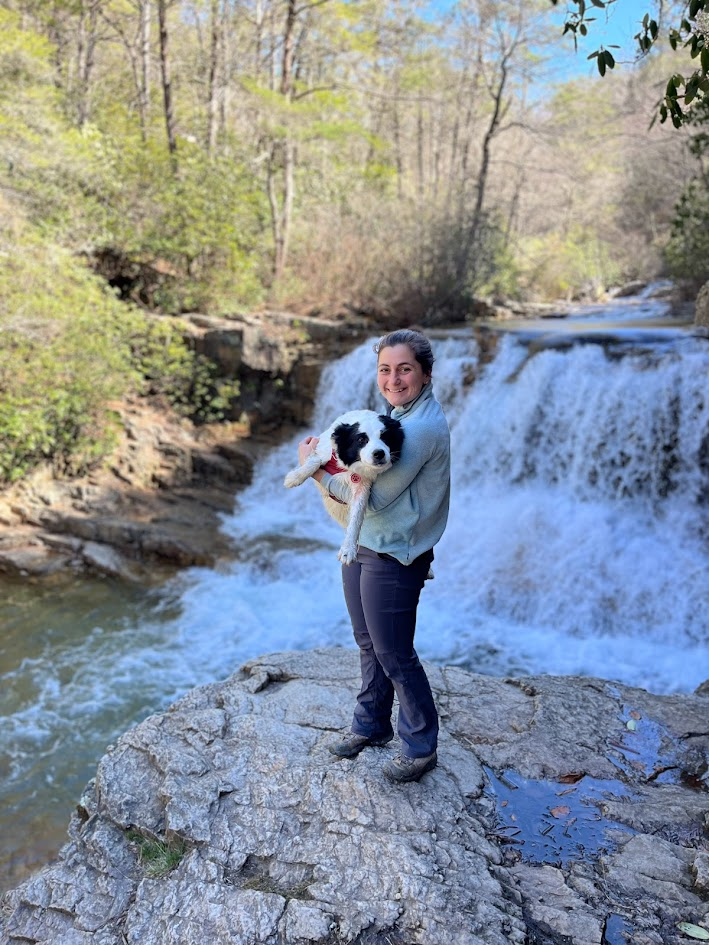 Veterinary Doctor Dr. Allison Kramer Old Dominion Animal Hospital