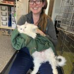 Feral Cat Awareness Day