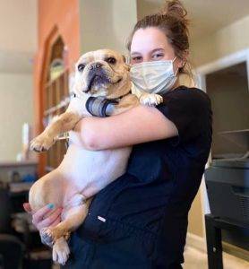 Old Dominion Animal Hospital in Charlotteville, VA