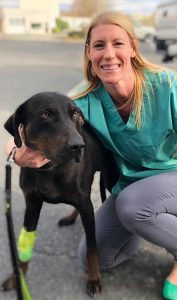 Charlottesville Veterinary Hospital