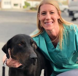 Charlottesville Veterinary Hospital