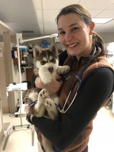 Doctor Squires Charlottesville veterinarian