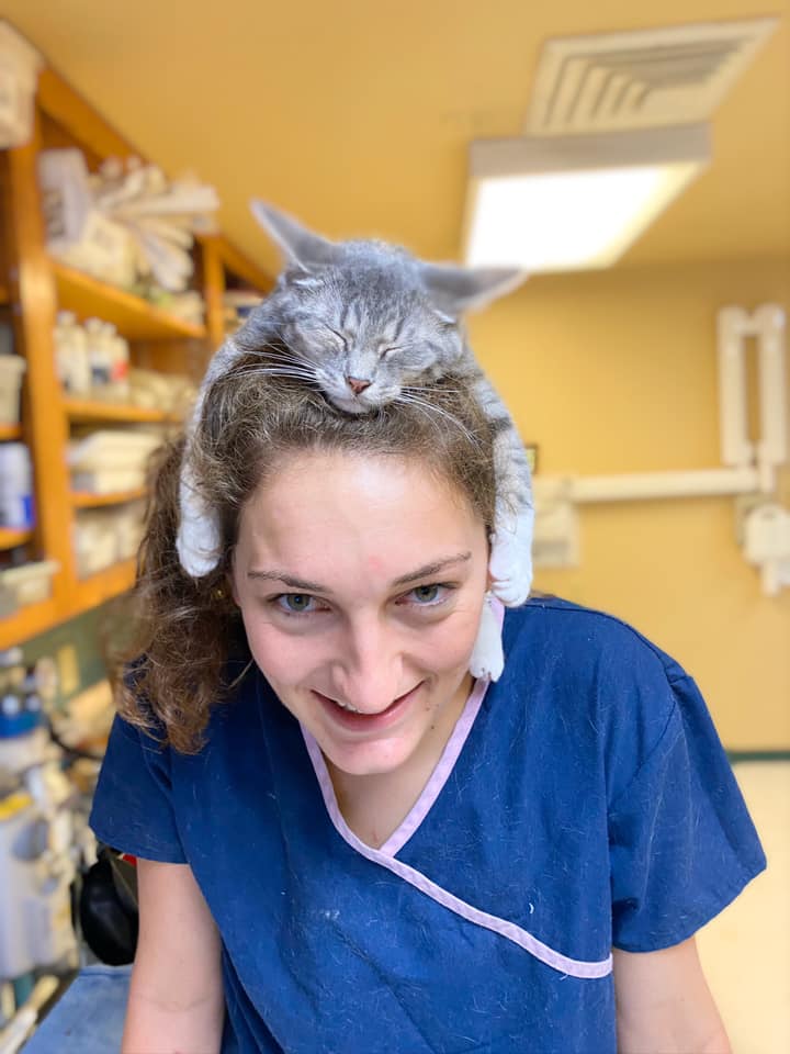 feb2020 Old Dominion Animal Hospital