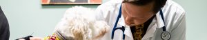 Charlottesville Veterinarian