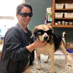 Laser Therapy: Shining a Light on Pain