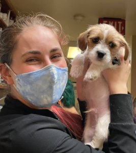 Read our Charlotesville Veterinary Newsletter!