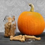 Pup-tastic Pumpkin