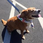 Lifesaving Training Tips