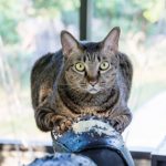 Furniture Frustration