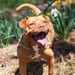 Springtime Safety
