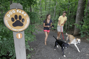 Best Dog Walking Trails in Charlottesville